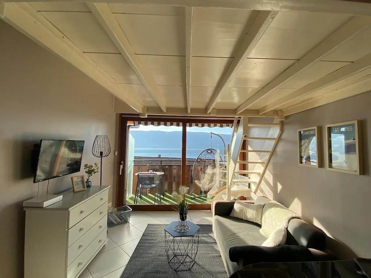 La Lumiere Du Lac, Duplex Avec Vue Lac, Parking Veyrier-du-Lac